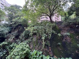 Mid Levels Central - Pak Fai Mansion 12