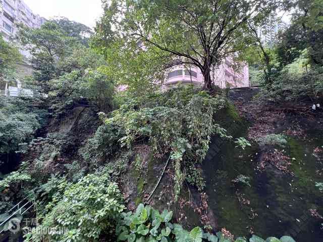 Mid Levels Central - Pak Fai Mansion 12