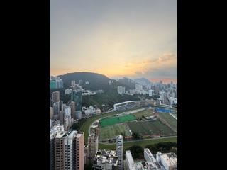 Happy Valley - Broadwood Twelve 02