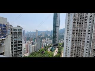 司徒拔道 - 松柏新邨 03
