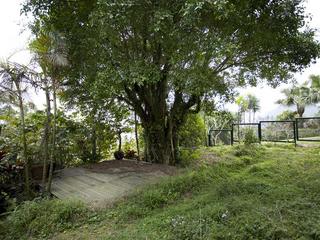 The Peak - Strawberry Hill 12