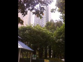 Kennedy Town - Wah Po Building 02