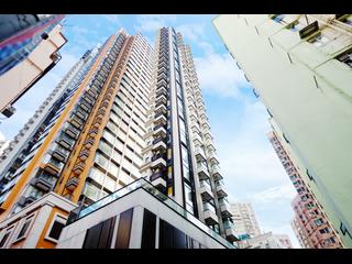 Tai Hang - Coho 02