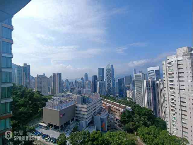 中半山 - 21 Borrett Road 01