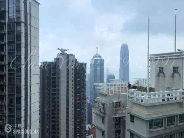 Mid Levels Central - Robinson Place 16
