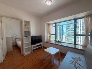 Sheung Wan - Queen's Terrace Block 1 02