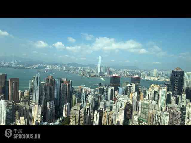 西半山 - 罗便臣道80号 13