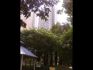 Kennedy Town - Wah Po Building 11