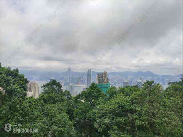 The Peak - Barker Villa 02
