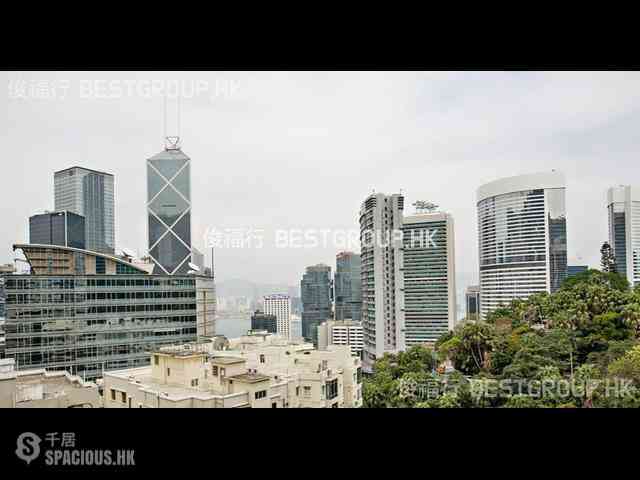 中半山 - 寶德臺 01