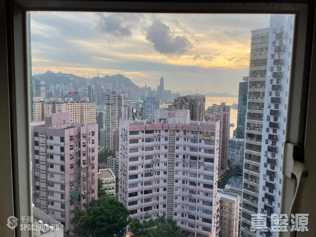 寶馬山 - 富麗園B座 01