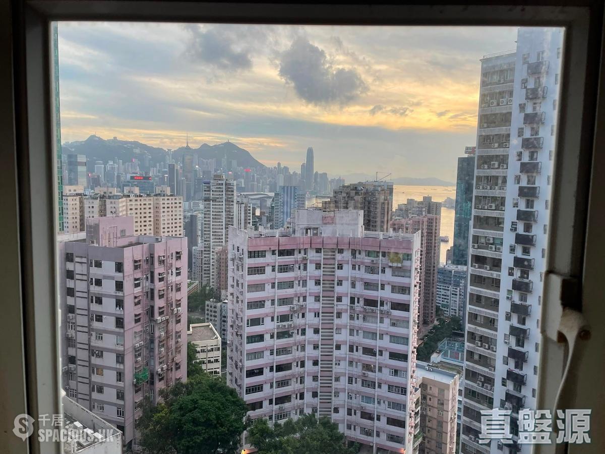 寶馬山 - 富麗園B座 01