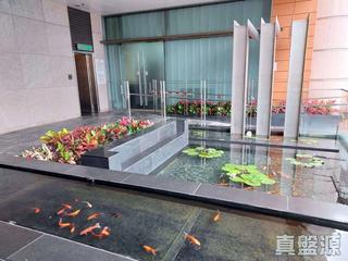 淺水灣 - Grosvenor Place 11