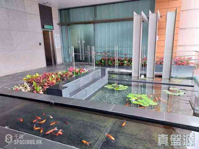淺水灣 - Grosvenor Place 11