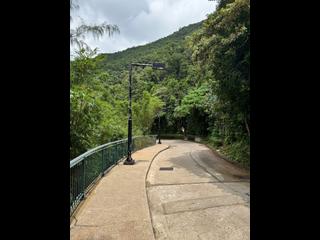 淺水灣 - 蔚峰園 07