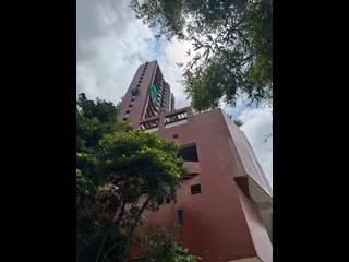 淺水灣 - 蔚峰園 08