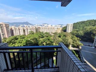 寶馬山 - 賽西湖大廈 04