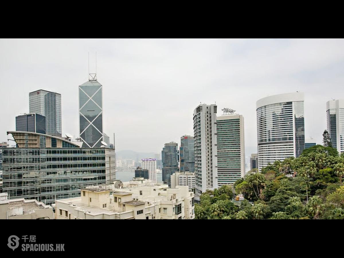 中半山 - 寶德臺 01