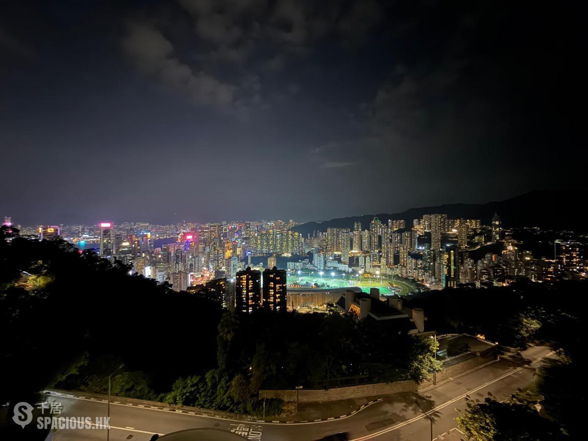 司徒拔道 - 司徒拔道47A号 01