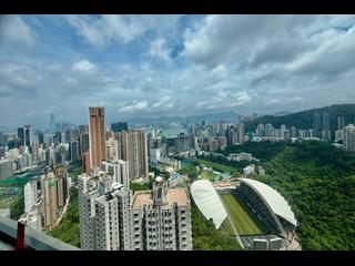跑馬地 - 樂景園 04