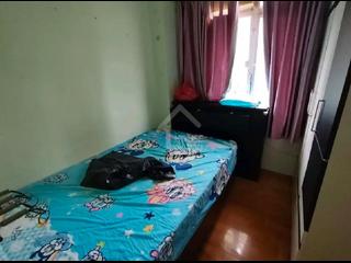 Luen Wo Hui - Good View New Village 03
