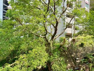 Braemar Hill - Arden Court 05