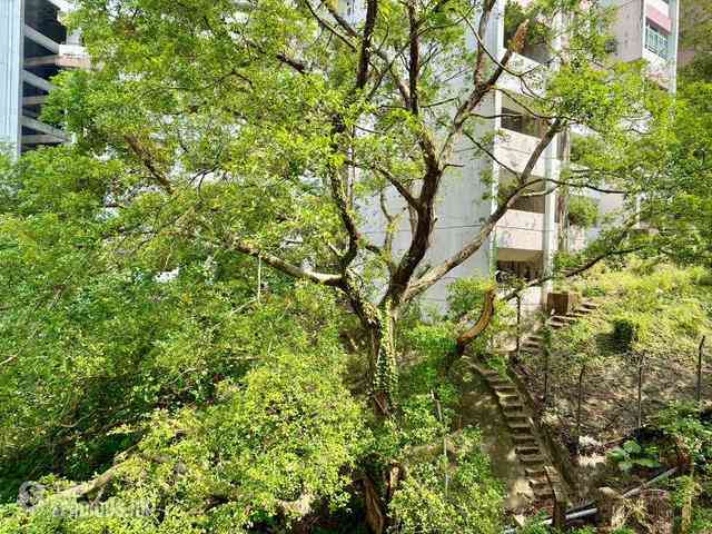 宝马山 - 雅苑 05