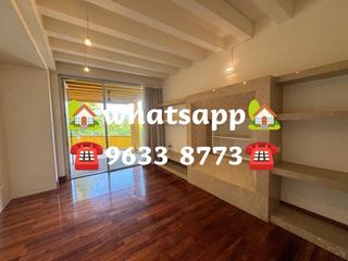 Stanley - Carmelia 45