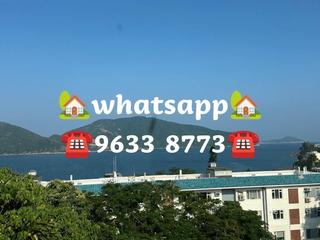 Stanley - Carmelia 57