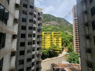 Mid Levels Central - Vantage Park 19