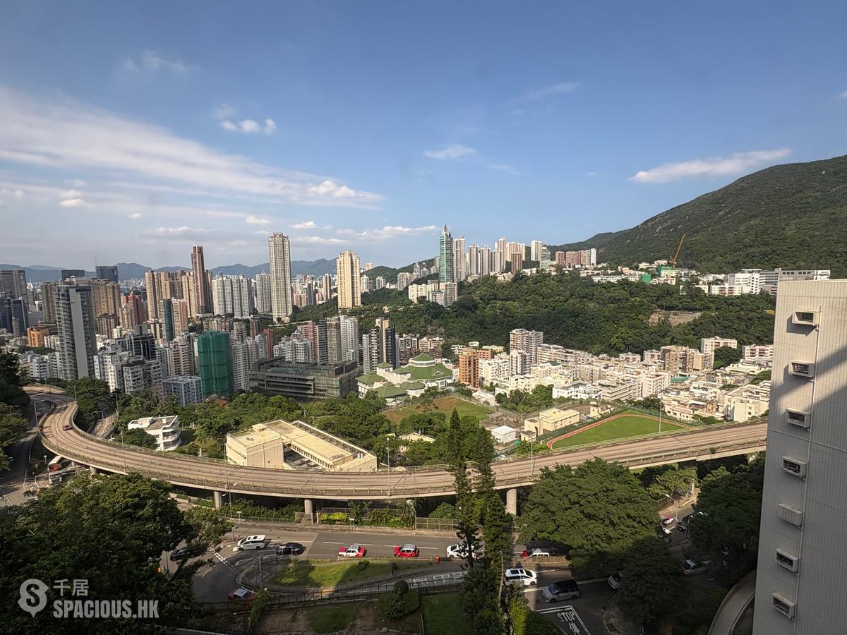 司徒拔道 - 怡园 黄泥涌峡道2F号 01