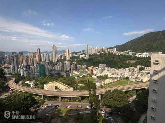 司徒拔道 - 怡园 黄泥涌峡道2F号 01