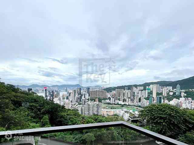 司徒拔道 - 司徒拔道47A号 02