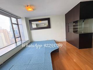 Central - Hollywood Terrace 06