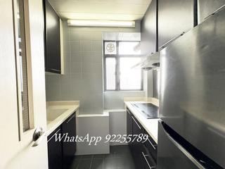 Central - Hollywood Terrace 04