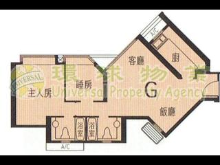 Shek Tong Tsui - The Belcher's 11