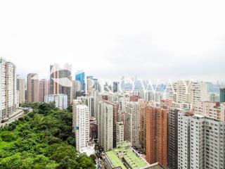 North Point - Lime Habitat 02