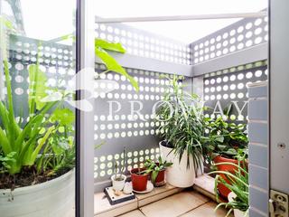 North Point - Lime Habitat 05