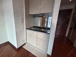 Wan Chai - The Avenue Phase 2 Block 2 04