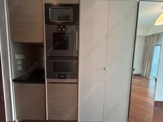 Wan Chai - The Avenue Phase 2 Block 2 06