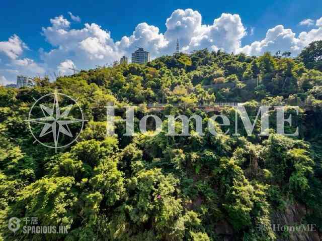 東半山 - 康德居 11
