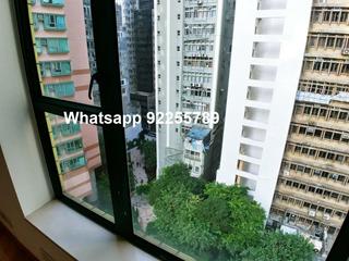 Sheung Wan - Medal Court 06