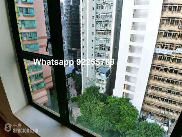 Sheung Wan - Medal Court 06