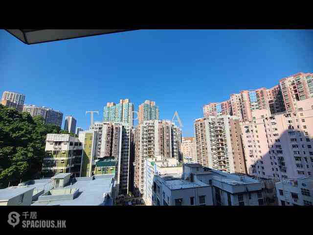 北角 - 柏蔚山 12