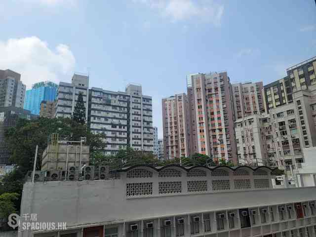 North Point - Kingsway Garden 12