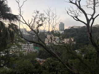 The Peak - Orient Crest 20