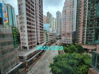 上环 - 帝后华庭 15
