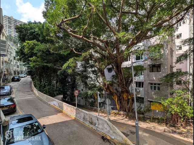 Happy Valley - Tai Yuen 17