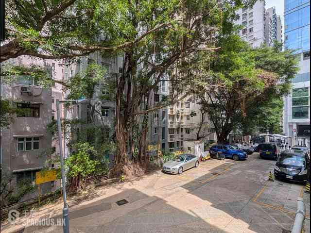 Happy Valley - Tai Yuen 18