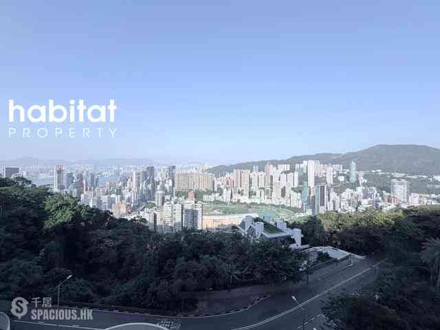 司徒拔道 - 司徒拔道47A号 01